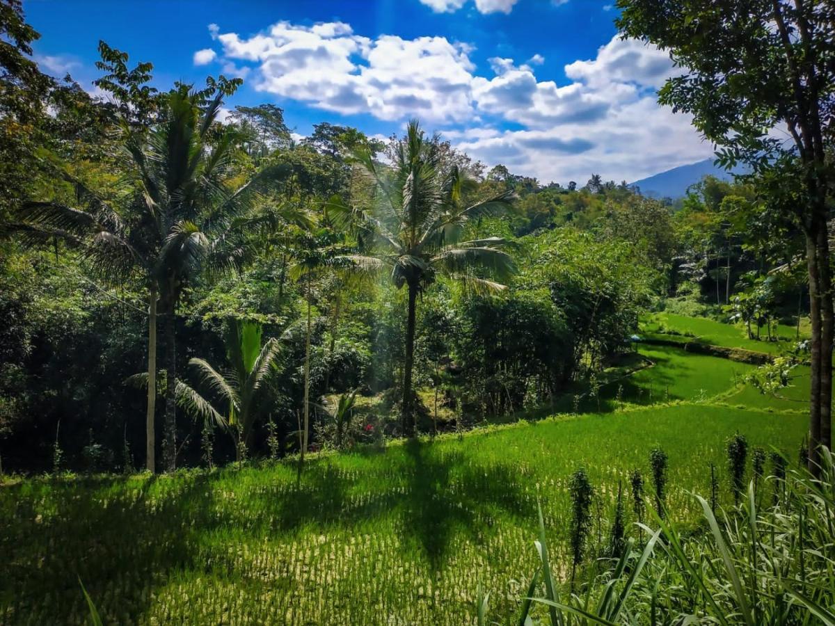 Hide And Seek Hotel Tetebatu