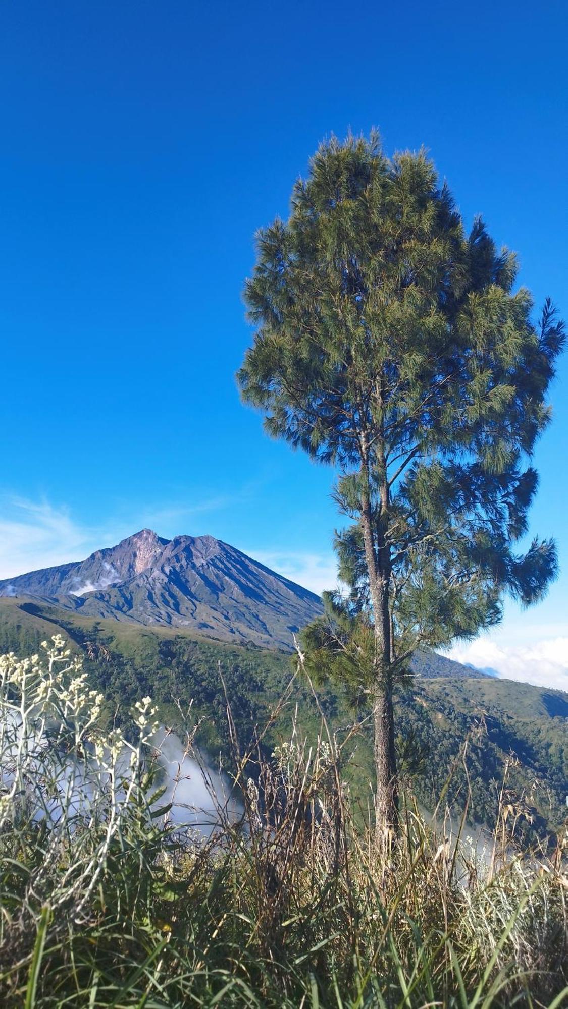 Hide And Seek Tetebatu