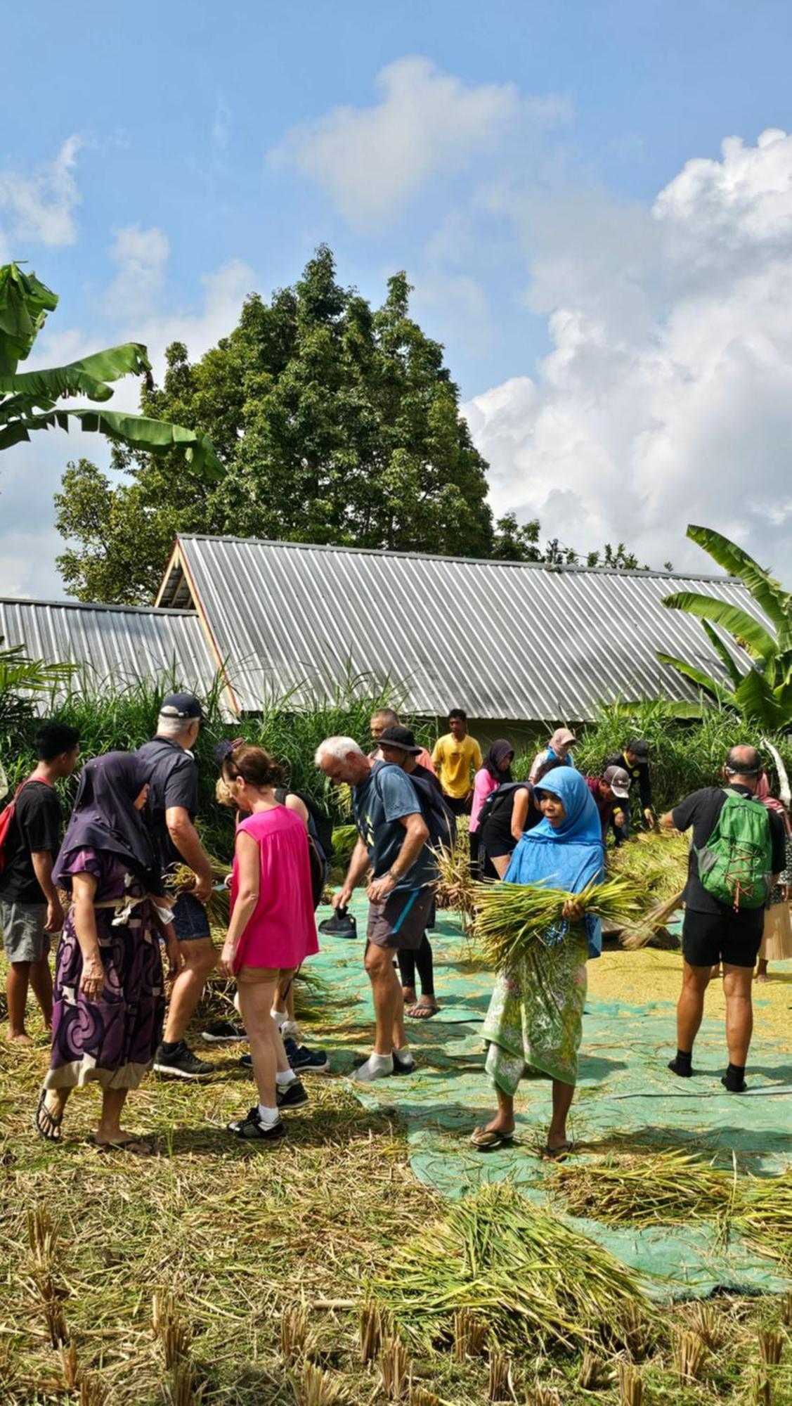 Hotel Hide And Seek Tetebatu
